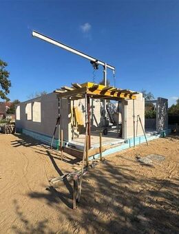 Stein an der Ostsee Idyllisch leben am Ausläufer der Kieler Förde NEUBAU Erstbezug 2026 - Stein (Schleswig-Holstein)