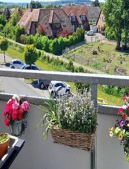 Sehr ruhig gelegene 3 Zimmer-Wohnung mit Balkon, Dusche und Einbauküche in einem modernem Haus! - Bad Nenndorf