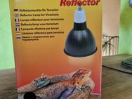 Reflektorlampe für Terrarium - Echternacherbrück