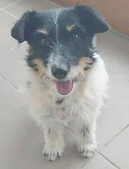 liebenswerte BORI - Mamming