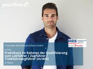 Praktikant im Rahmen der Qualifizierung zum Lokführer / Zugführer / Triebfahrzeugführer (m/w/d) - Riesa