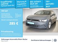 VW Golf, 2.0 TDI VIII Life Gar 2029, Jahr 2024 - Mannheim