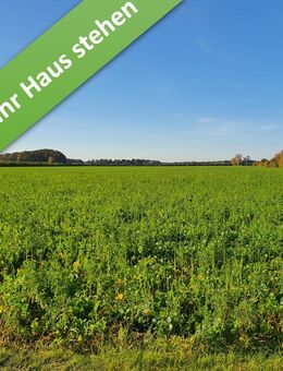 Das Haus für alle Lebensphasen im kommenden Baugebiet in Volkse. - Hillerse