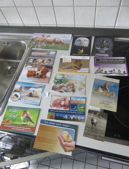 Tierkarten, verschiedene, zu verschenken - Stuttgart
