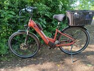 E-Bike Fischer Cita 7.8i - Duisburg
