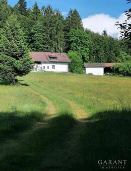 Idylle pur! Bauernhaus sucht Handwerker! - Hohenau