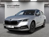 Skoda Octavia, 1.5 TSI Combi Style e-TEC, Jahr 2022 - Schlüchtern