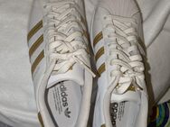 Adidas Superstars NEU - Willstätt