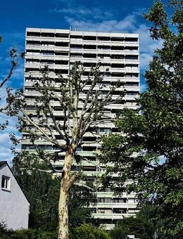 ETW in Hochheim - perfekter Panoramablick, Skyline inklusive - Hochheim (Main)