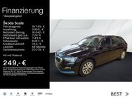 Skoda Scala, 1.0 TSI AMBITION 16ZOLL, Jahr 2024 - Mühlheim (Main)