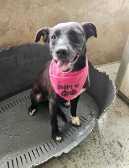 Fröhliche Penny - Eichenzell