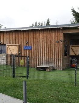 Stallung/ Pferdestall/ Ziegenstall/ Schafstall 8,26 m x 6,34 m zum Selbstabbau - Blumberg