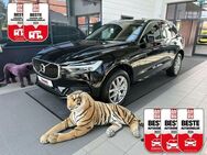 Volvo XC60 D5 AWD Momentum +AHK+Pano+Assistenten+ - Jade