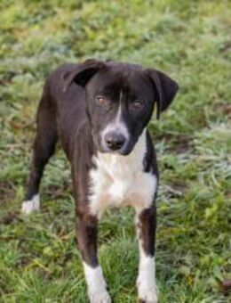 DAIM - lebensfroh und guter Laune - Overath