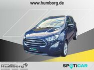 Ford EcoSport, 1.0 Titanium, Jahr 2020 - Bad Driburg