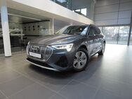 Audi e-tron, 55 quattro S line Tour Stadt LuftMatrix, Jahr 2023 - Dresden