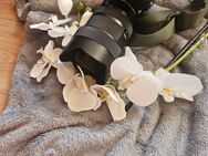 Sony alpha 7c2 - Gräfenberg