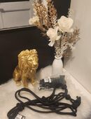 Halfter & Strick Neu von MKH in 23617