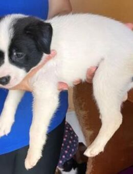 Elena möchte viel kennenlernen - Donaueschingen