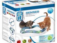 Catit Design Senses Tempo Spielschiene - Sparset: Spielschiene + Ersatzbälle