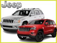 Jeep Grand Cherokee + Patriot Reparatur CD 2005-2017 Werkstatthandbuch 16GB Service USB - Bad Heilbrunn