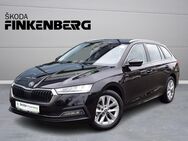 Skoda Octavia, 2.0 TDI Combi Style, Jahr 2024 - Verden (Aller)