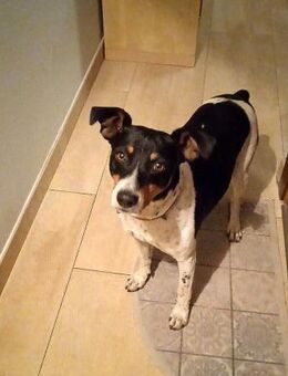 Aldi - lebensfroh und aktiv - Ratekau