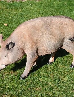 Dekofigur Wildschwein stehend Gartendeko - Hergisdorf