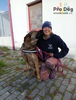 Goliath, ein sanfter Riese - Talkau