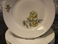 5 weiße Porzellan Speiseteller von KAHLA / Teller mit grünen Rosenmotiv / DDR - Zeuthen