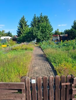 Garten zu verschenken - Schipkau