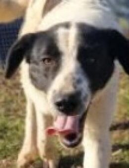 Traumhaft unkomplizierte Luna - Mettmann