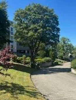 helle freundliche 3,5 Zimmerwohnung am Detmeroder Teich (grüner Stadtteil von Wolfsburg) - Wolfsburg