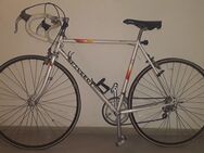 Rennrad Peugeot - Manching