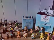 Toniebox Starterset 🧚🏻‍♀️ - Neubrandenburg