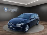 VW Golf, 1.5 TSI Var Highline, Jahr 2020 - Amelinghausen