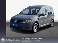 VW Caddy, 2.0 TDI -Eco Profi, Jahr 2020 - Flensburg