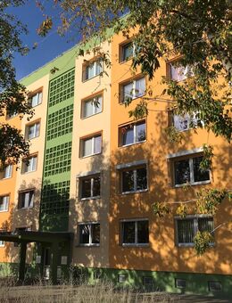 Zentrumsnahe schöne Singlewohnung ab sofort zu vermieten! - Bitterfeld-Wolfen
