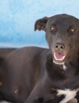 Federica, Notfall in Deutschland - Bad Vilbel