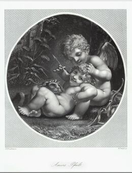 Amors Pfeil. Originaler Stahlstich n. Prudhorn um 1850 - Bautzen