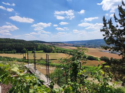 Traumhafte Villa in exklusiver Lage mit unverbaubarem Fernblick