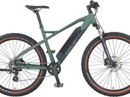 Prophete E-Bike Mountainbike DICE 1.0, 8 Gang Shimano Altus Schaltwerk, Kettenschaltung, Heckmotor, 418 Wh, Pedelec, Elektrofahrrad für Damen u. Herren, MTB