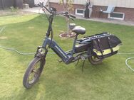 Bürgerrad MIG1 zu verkaufen, Neuware, E-Bike, Longtail, Lastenrad - Hannover