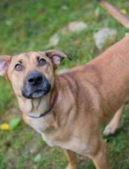 YARAH -ich brauche noch etwas Hilfe - Overath