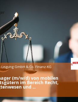 Asset Manager (m/w/d) von mobilen Wirtschaftsgütern im Bereich Recht, Beauftragtenwesen und Forderungsmanagement - Hünfeld (Konrad-Zuse-Stadt)