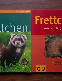 Frettchen Bücher diverse - Sprockhövel