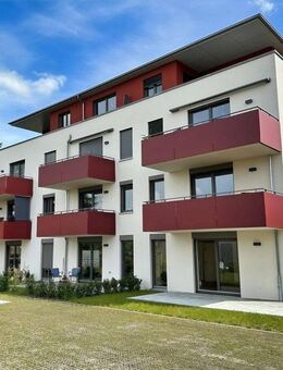 Erstbezug: 4-Zimmer-Wohnung in Top Lage - Ihr neues Zuhause! - Pirna