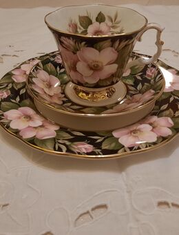 Royal Albert Kaffeegedeck - Münster Zentrum