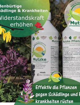 Mutzke Pflanzenkraft - Hankensbüttel