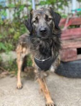 Amal sucht sein Zuhause - München